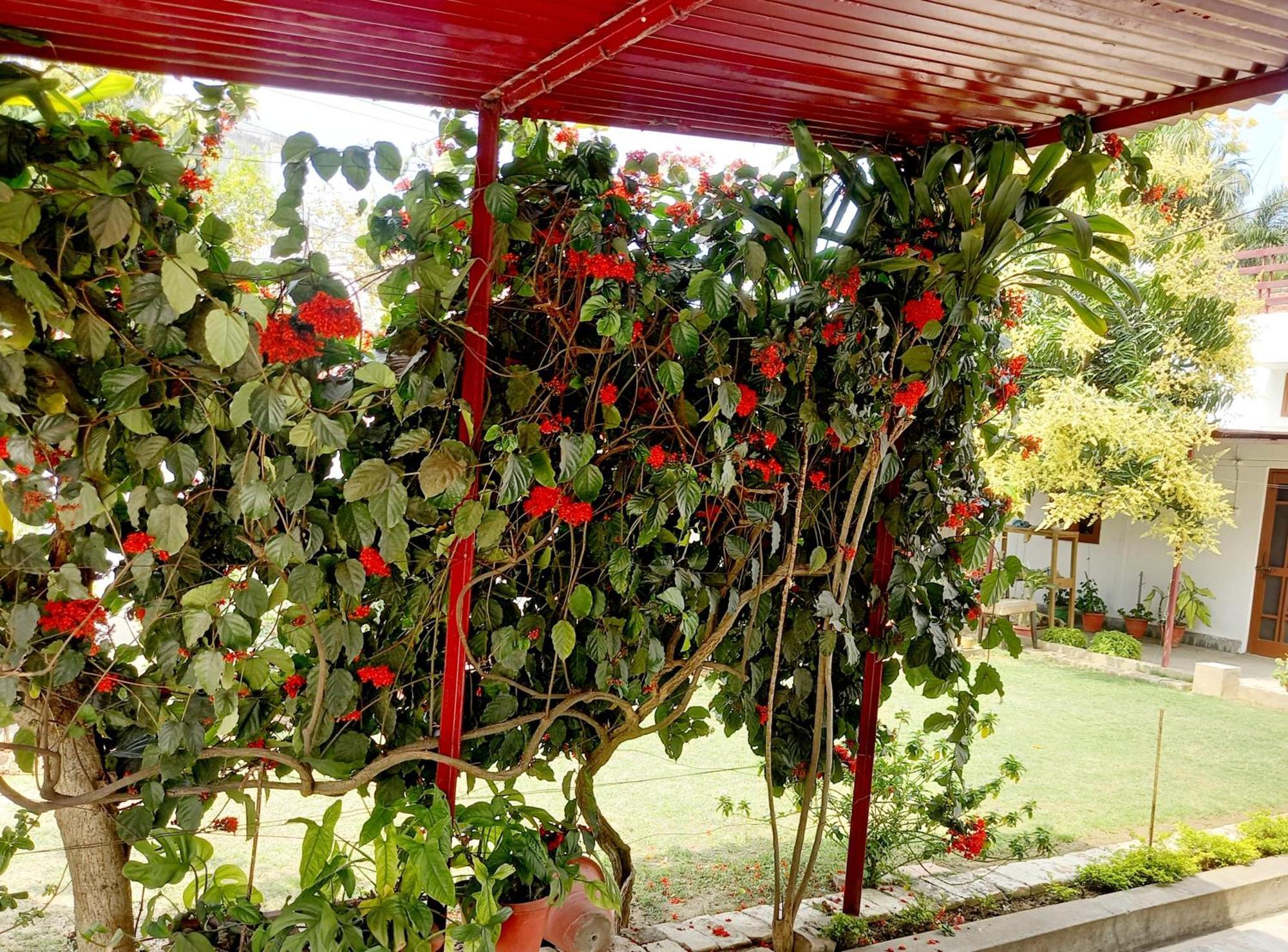 Garden View Residency Bed & Breakfast Lucknow Ngoại thất bức ảnh